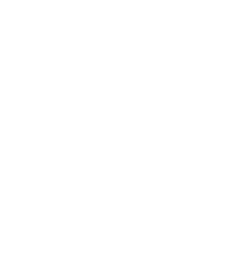 PLATINUM PASS (VIP)